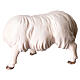 Sheep scratching itself Original Cometa Nativity Scene in painted wood from Val Gardena 10 cm s3