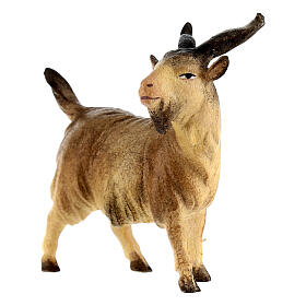 Billy Goat, 10 cm nativity Original Comet model, in painted Valgardena wood