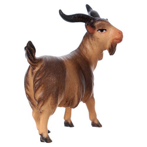 Brown Billy goat, 12 cm nativity Original Comet model, in painted Valgardena wood 4