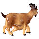 Cabra com cabrito para presépio  madeira pintada Original Cometa Val Gardena 10 cm s3
