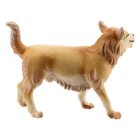 Cane da pascolo presepe Original Cometa legno dipinto in Val Gardena 10 cm