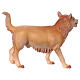 Perro de pastoreo para belén Original Cometa madera pintada en Val Gardena 10 cm de altura media s2