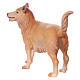 Perro de pastoreo para belén Original Cometa madera pintada en Val Gardena 10 cm de altura media s4