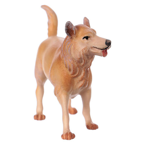 Chien de berger crèche Original Comète bois peint Val Gardena 12 cm 3