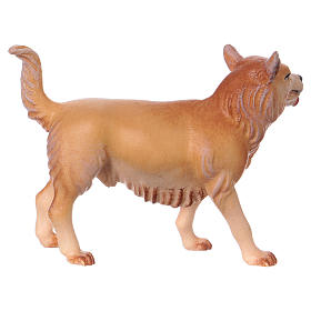 Grazing Dog, 12 cm nativity Original Comet model, in painted Valgardena wood