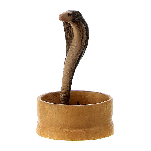 King Cobra Snake, Hobby Lobby