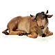 Boi e burro presépio Original madeira pintada Val Gardena 10 cm s5