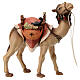 Cammelliere con cammello in piedi per presepe Original legno dipinto in Val Gardena 12 cm s2