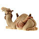 Giovane cammelliere cammello sdraiato presepe Original Redentore legno dipinto in Valgardena 12 cm s5