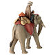 Elephant and rider with saddle jewels 12 cm, nativity Original Comet, in painted Val Gardena wood s9