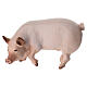 Kostner Nativity Scene 9.5 cm, pig, in painted wood s1