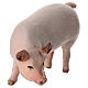 Kostner Nativity Scene 9.5 cm, pig, in painted wood s2
