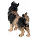 Cane legno dipinto presepe Kostner 12 cm s4