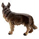Cane pastore legno dipinto Kostner presepe 9,5 cm s2