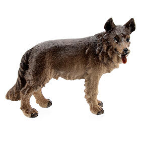 Cão pastor em madeira pintada para presépio Val Gardena com figuras altura média 9,5 cm modelo Kostner