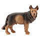 Cane pastore legno dipinto presepe Kostner 12 cm s1