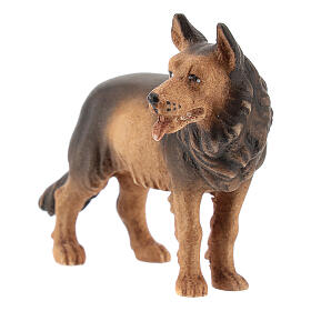 Cão pastor em madeira pintada para presépio Val Gardena com figuras altura média 12 cm modelo Kostner