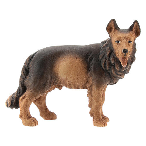 Cão pastor em madeira pintada para presépio Val Gardena com figuras altura média 12 cm modelo Kostner 1