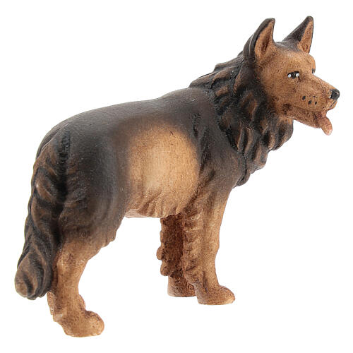 Cão pastor em madeira pintada para presépio Val Gardena com figuras altura média 12 cm modelo Kostner 3
