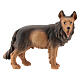 Cão pastor em madeira pintada para presépio Val Gardena com figuras altura média 12 cm modelo Kostner s1