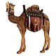 Camelo para presépio madeira pintada Val Gardena com figuras altura média 9,5 cm modelo Kostner s1