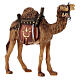 Camelo para presépio madeira pintada Val Gardena com figuras altura média 9,5 cm modelo Kostner s3