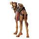 Camelo para presépio madeira pintada Val Gardena com figuras altura média 9,5 cm modelo Kostner s4