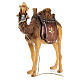 Camelo pombas para presépio madeira pintada Val Gardena com figuras altura média 12 cm modelo Kostner s2
