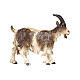 Goat with lifted head in painted wood, Kostner Nativity scene 9.5 cm s1
