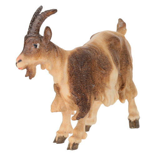 Goat with lifted head in painted wood, Kostner Nativity scene 12 cm 3