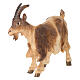 Goat with lifted head in painted wood, Kostner Nativity scene 12 cm s3