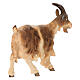 Goat with lifted head in painted wood, Kostner Nativity scene 12 cm s4