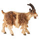 Capra testa alta legno dipinto presepe Kostner 12 cm s1