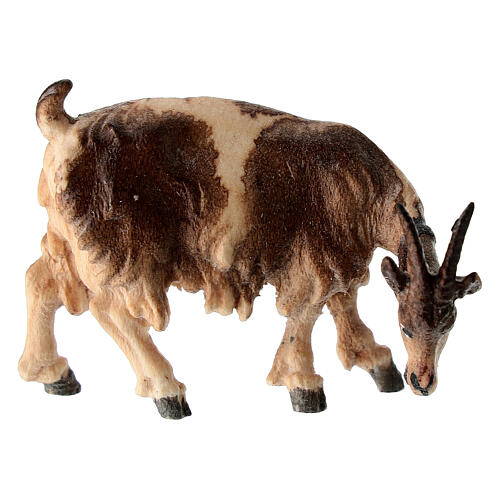 Capra che mangia testa a destra legno dipinto Kostner presepe 9,5 cm 1