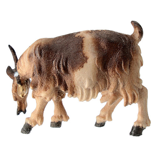 Capra che mangia testa a destra legno dipinto Kostner presepe 9,5 cm 3