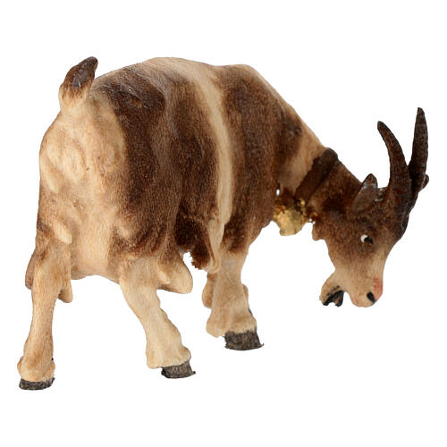 Goat eating with head turned right in painted wood, Kostner Nativity scene 12 cm 3