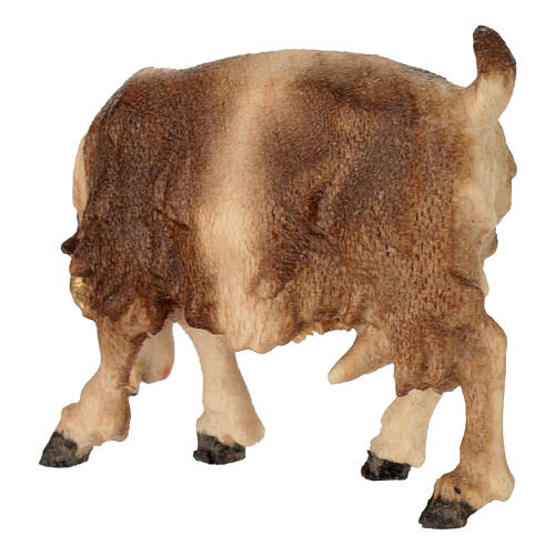 Goat eating with head turned right in painted wood, Kostner Nativity scene 12 cm 4