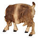 Goat eating with head turned right in painted wood, Kostner Nativity scene 12 cm s4