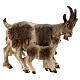 Goat with kid in painted wood, Kostner Nativity scene 12 cm s1