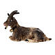 Chèvre couché bois peint crèche Kostner 9,5 cm s1