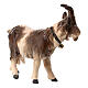 Chèvre clochette tête à gauche bois peint crèche Kostner 12 cm s3