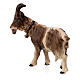 Chèvre clochette tête à gauche bois peint crèche Kostner 12 cm s5