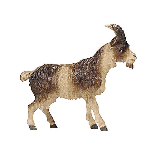 Chèvre poil court bois peint crèche Kostner 9,5 cm 1