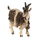 Goat with bell turned right in painted wood, Kostner Nativity scene 9.5 cm s2