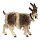 Chèvre clochette tête à droite bois peint crèche Kostner 9,5 cm s1