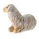 Lying sheep with head turned right in painted wood, Kostner Nativity scene 9.5 cm s4