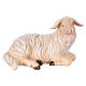 Lying sheep with head turned right in painted wood, Kostner Nativity scene 12 cm s1