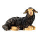 Black sheep lying with head turned right in painted wood, Kostner Nativity scene 9.5 cm s1