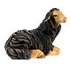 Black sheep lying with head turned right in painted wood, Kostner Nativity scene 9.5 cm s2