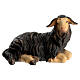Black sheep lying with head turned right in painted wood, Kostner Nativity scene 12 cm s1